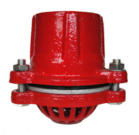 CAST IRON FOOT VALVE PAINTED 1 Image